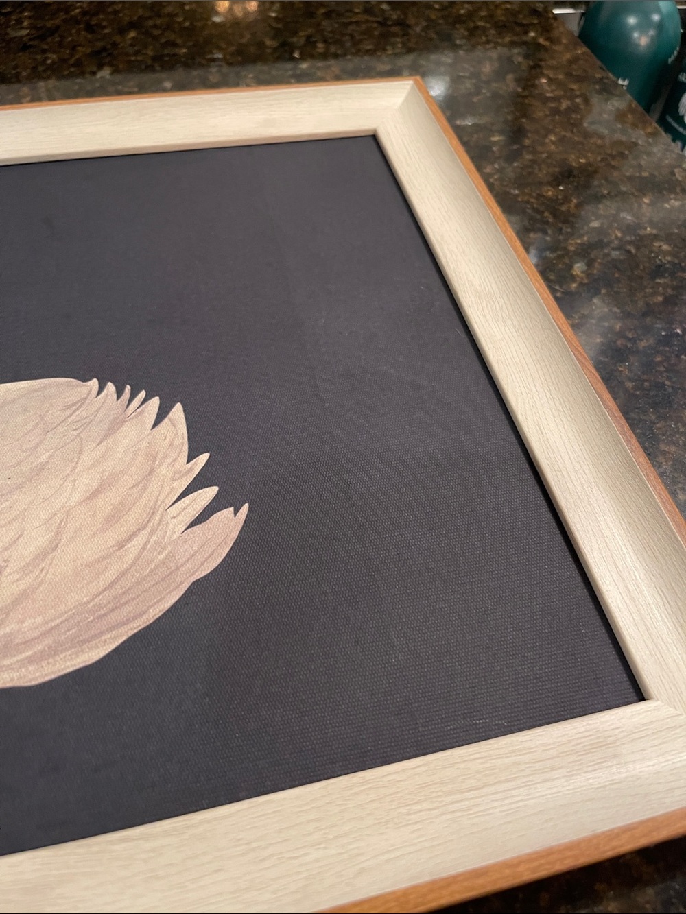 Framed Swan Artwork - Cream Swan on Dark Backgroundy - Picture 10 of 14